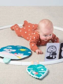 Cerceau D'activités Koala TAFTOYS Beige - Taf Toys -Promos Jouets Boutique cerceau dactivites koala taftoys 2