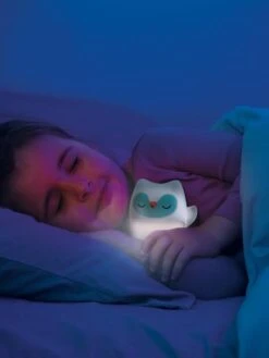 Coffret Veilleuse Et Chouette Luminescente - INFANTINO Blanc - Infantino -Promos Jouets Boutique coffret veilleuse et chouette luminescente infantino 2