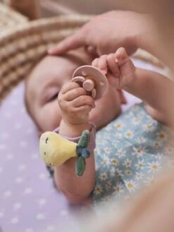 Hochets Mains Et Pieds DOUCE PROVENCE Violet - Douce Provence - Vertbaudet -Promos Jouets Boutique hochets mains et pieds douce provence 5