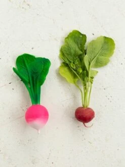 Jouet De Dentition Ramona Le Radis - OLI & CAROL Rose - Oli Et Carol -Promos Jouets Boutique jouet de dentition ramona le radis oli carol 5