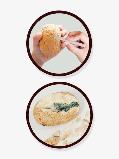 Maxi Pack 12 Oeufs Dinosaures - BUKI Orange - Buki 5 Maxi Pack 12 Oeufs Dinosaures - BUKI Orange - Buki – Image 3