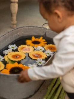 Sun Le Tournesol - OLI & CAROL Jaune - Oli Et Carol 11 Sun Le Tournesol - OLI & CAROL Jaune - Oli Et Carol -Promos Jouets Boutique sun le tournesol oli carol 3